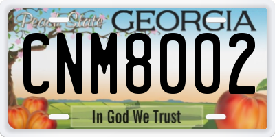 GA license plate CNM8002