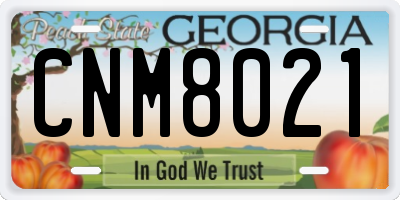 GA license plate CNM8021