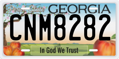 GA license plate CNM8282