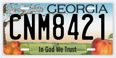 GA license plate CNM8421