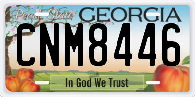 GA license plate CNM8446