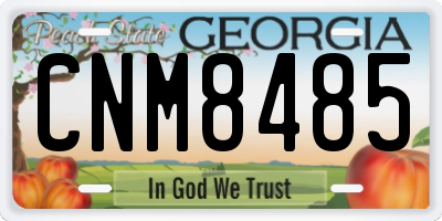 GA license plate CNM8485