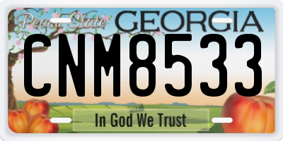 GA license plate CNM8533
