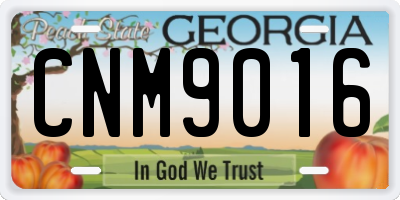 GA license plate CNM9016
