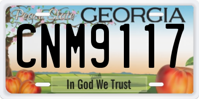 GA license plate CNM9117
