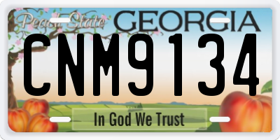 GA license plate CNM9134