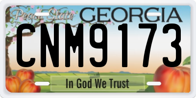 GA license plate CNM9173