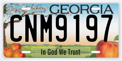 GA license plate CNM9197