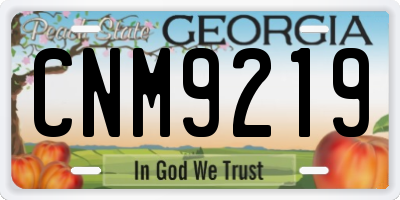 GA license plate CNM9219