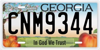 GA license plate CNM9344