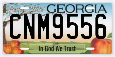 GA license plate CNM9556