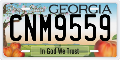 GA license plate CNM9559