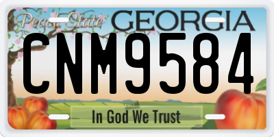 GA license plate CNM9584