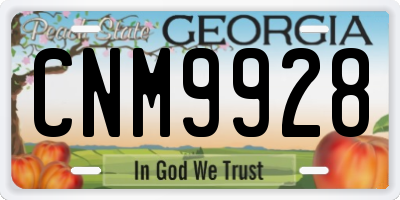 GA license plate CNM9928
