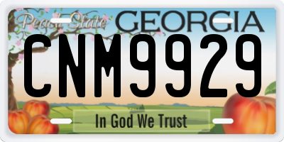 GA license plate CNM9929