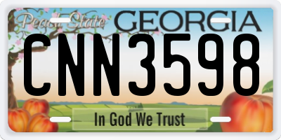 GA license plate CNN3598