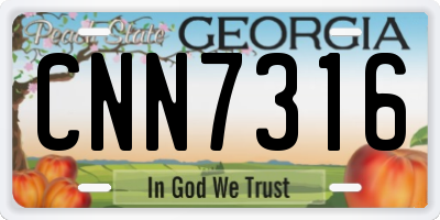 GA license plate CNN7316