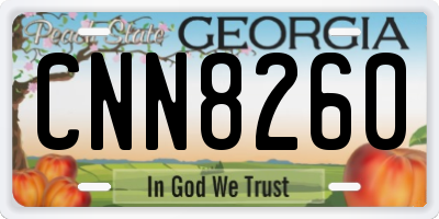GA license plate CNN8260