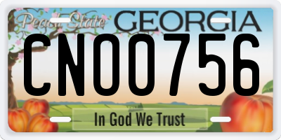GA license plate CNO0756
