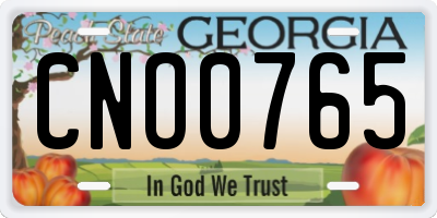 GA license plate CNO0765