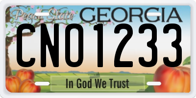 GA license plate CNO1233