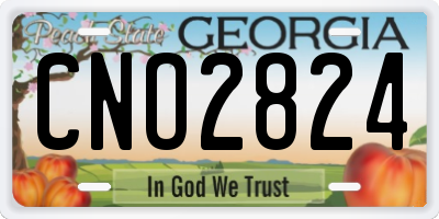GA license plate CNO2824