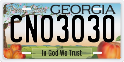 GA license plate CNO3030