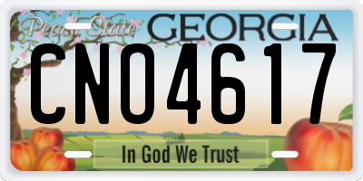 GA license plate CNO4617