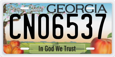 GA license plate CNO6537