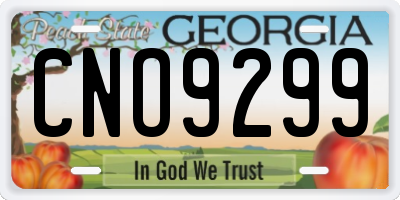 GA license plate CNO9299