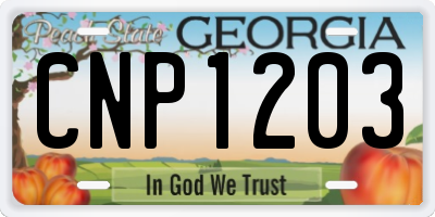 GA license plate CNP1203