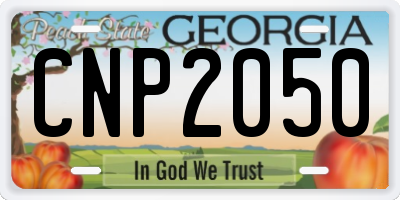 GA license plate CNP2050