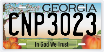 GA license plate CNP3023