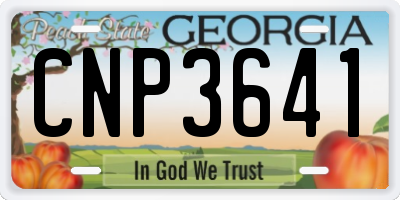 GA license plate CNP3641