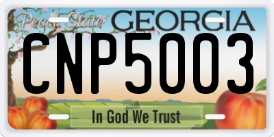 GA license plate CNP5003