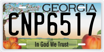 GA license plate CNP6517