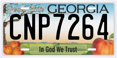 GA license plate CNP7264