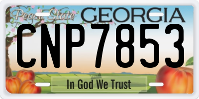 GA license plate CNP7853