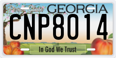 GA license plate CNP8014