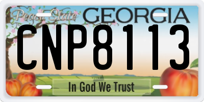 GA license plate CNP8113
