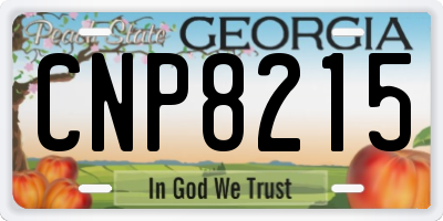 GA license plate CNP8215