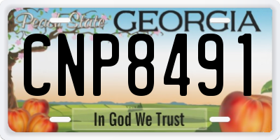 GA license plate CNP8491