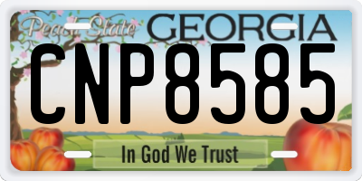 GA license plate CNP8585
