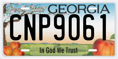 GA license plate CNP9061
