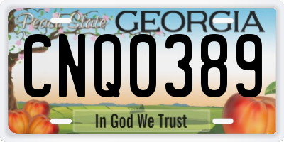 GA license plate CNQ0389