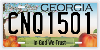 GA license plate CNQ1501