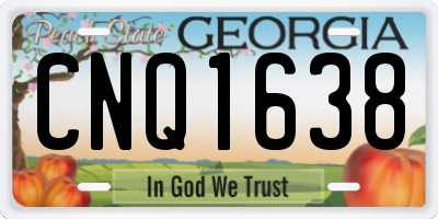 GA license plate CNQ1638