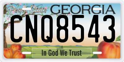 GA license plate CNQ8543