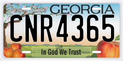 GA license plate CNR4365