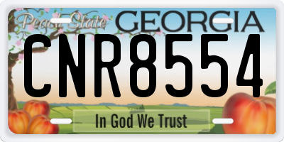 GA license plate CNR8554